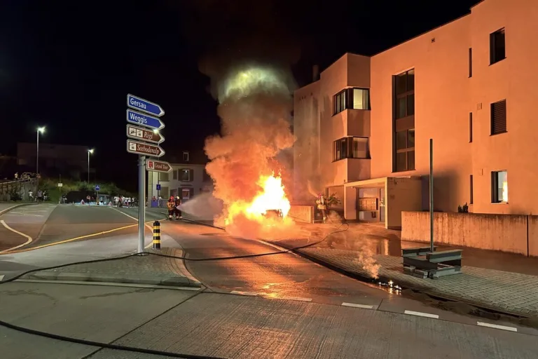 Küssnacht SZ - Auto gerät während der Fahrt in Brand