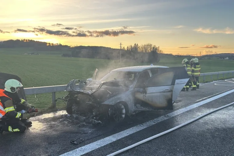 Wängi TG - Auto auf der A1 in Vollbrand