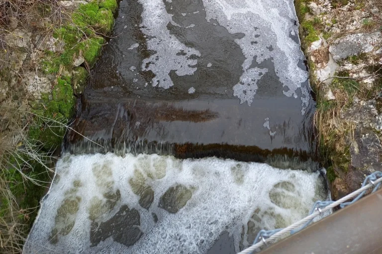 Welschenrohr SO - Fischsterben aufgrund von Gülle im Bach 