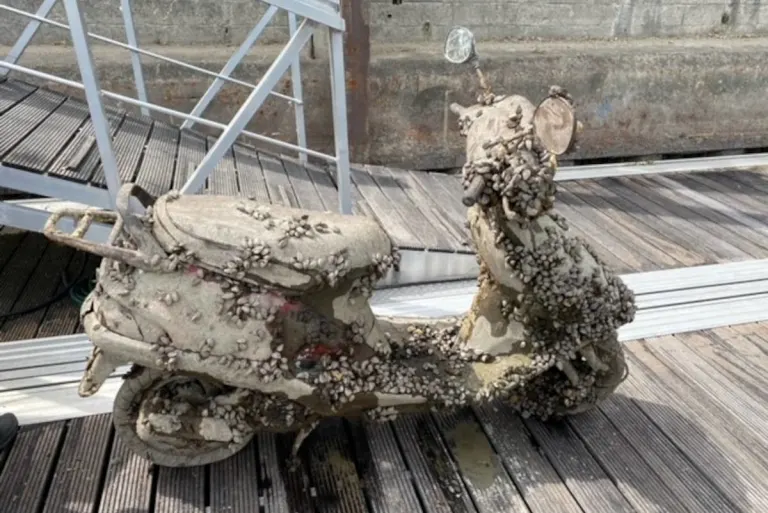 Speyer – Roller "Jack Sparrow" im Rhein gefunden