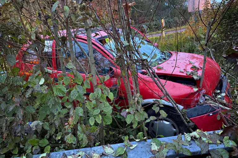 A14 Risch Rotkreuz ZG – Alkoholisierte Fahrt endet im Gebüsch