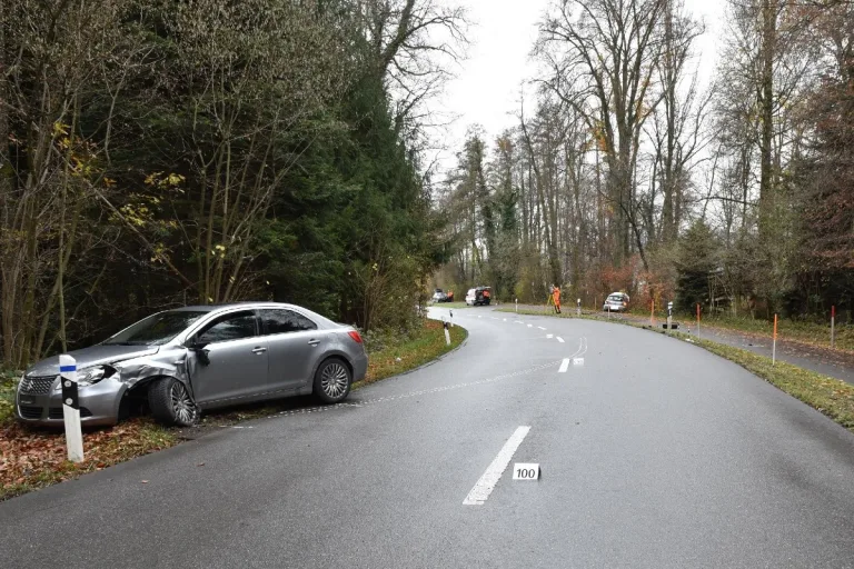 Greifensee ZH - Zwei Verletzte nach Frontalkollision - Zeugenaufruf
