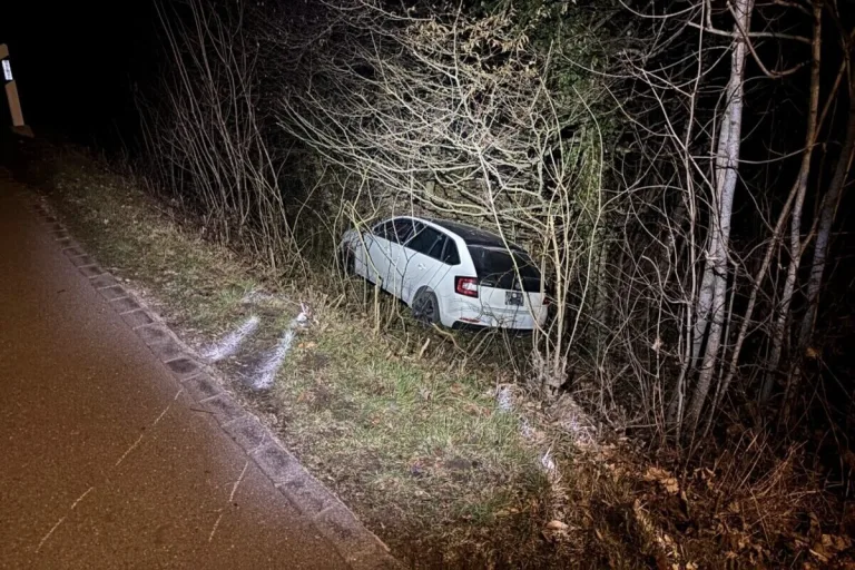 Neuhausen am Rheinfall SH – Auto kommt bei Unfall von Strasse ab
