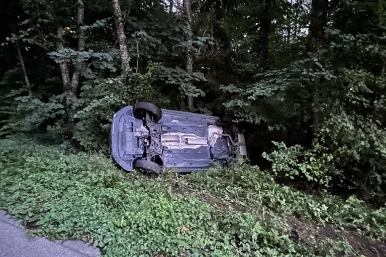 Zetzwil AG – Lenkerin (18) landet bei Unfall in Böschung