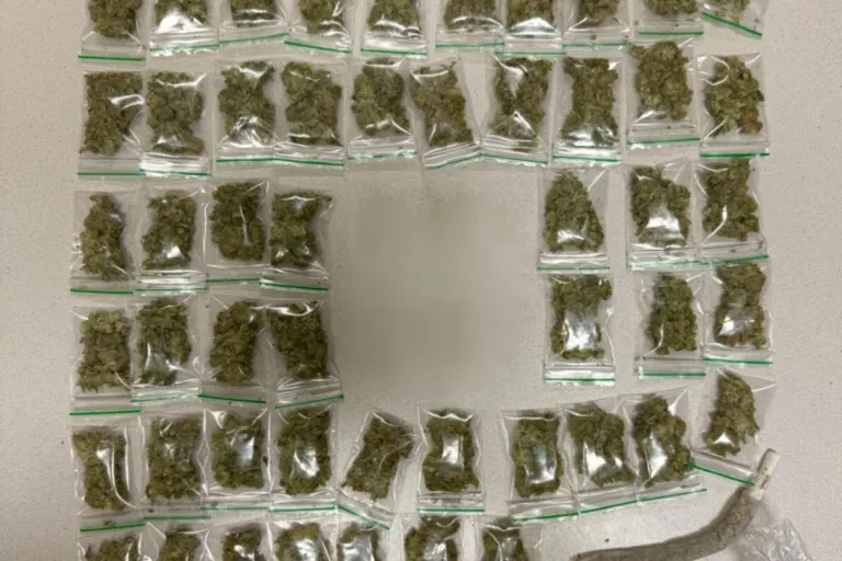 Wien – Festnahme nach Cannabishandel