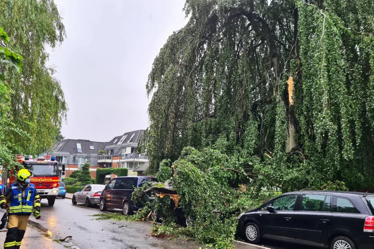 Schenefeld – Baum begräbt PKW unter sich