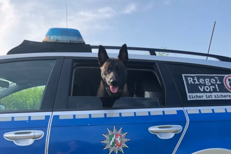 Dortmund – Polizeihund stellt Tatverdächtigen nach Autoaufbruch