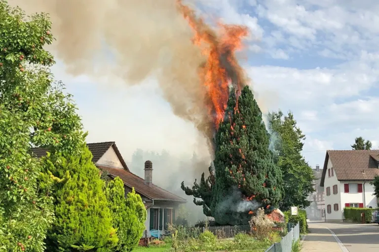 Altnau TG - 92-Jähriger setzt bei Abflammarbeiten Nadelbaum in Brand