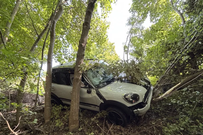 Unfall in Mammern TG – Autofahrer stürzt nach Sekundenschlaf in Waldstück