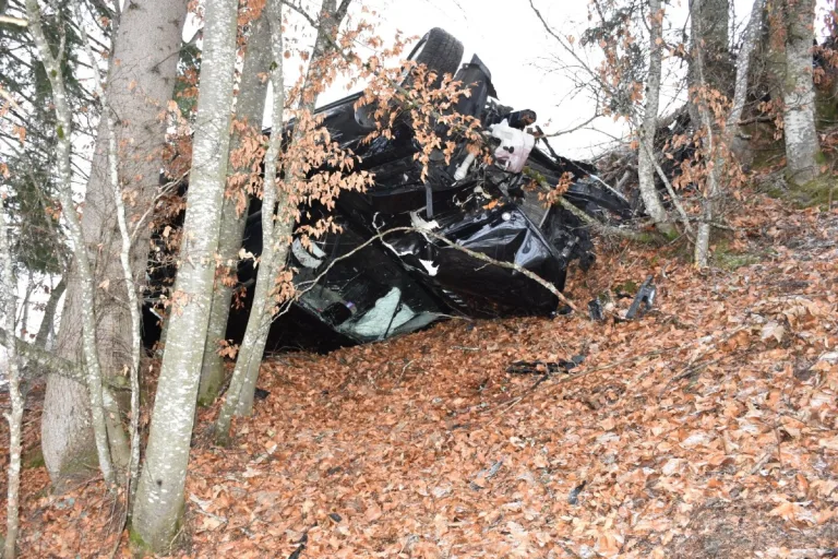 Unfall in Furna GR - Beide Insassen verletzten sich und der Hund wird tödlich verletzt