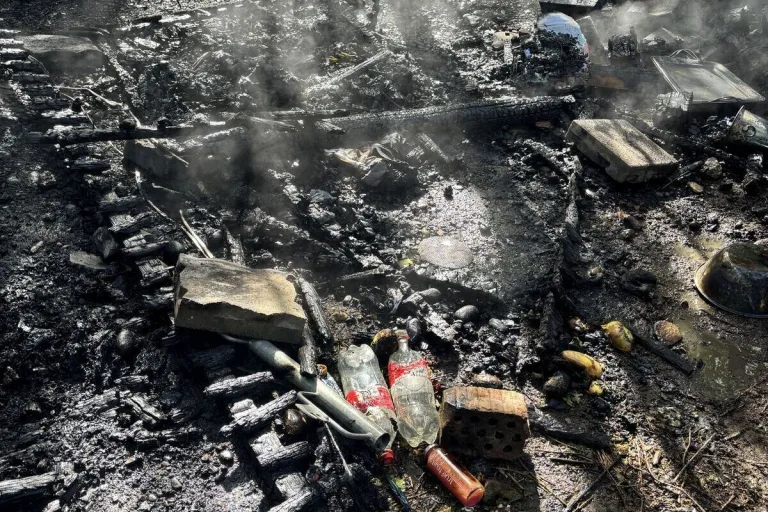 Muttenz BL – Feuer in Waldstück