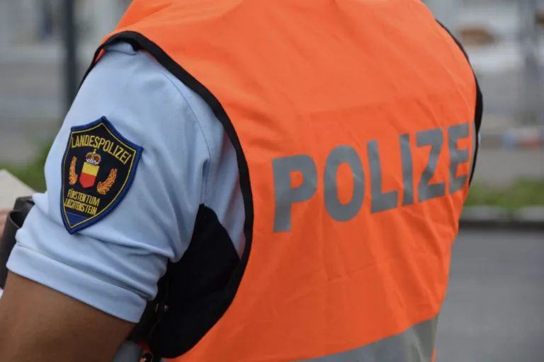 Schaan – Mit Lastwagen gegen Verkehrsschild gekracht