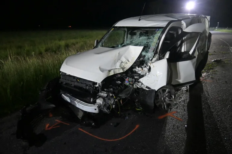 Unfall Ruggell FL - Überholmanöver endet auf der Noflerstrasse mit Kollision gegen Baum