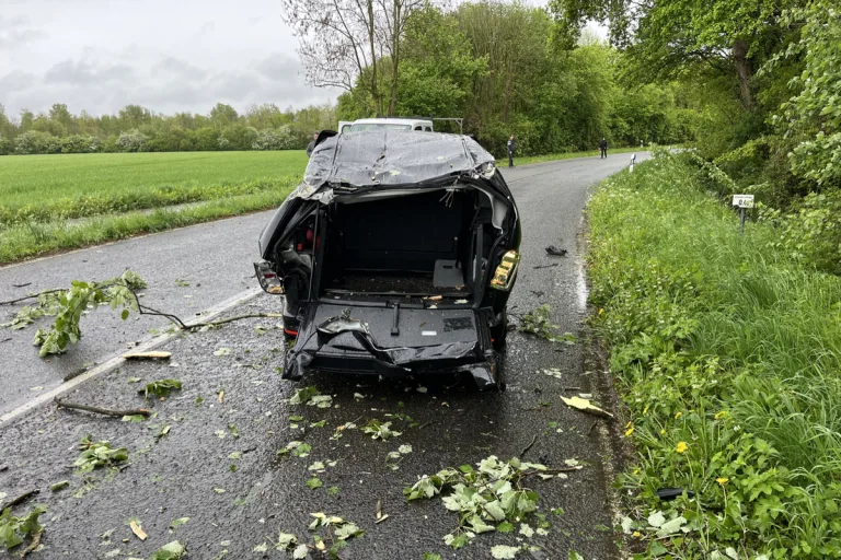 Mönchengladbach - Baum auf Auto gestürzt
