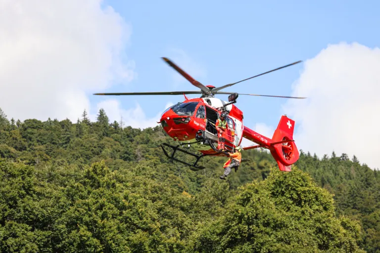 Balsthal SO – Giftschlange beisst Kletterer