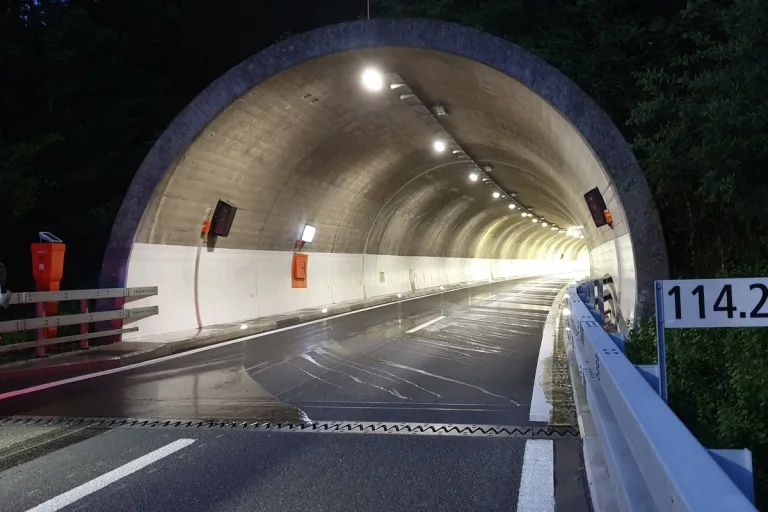 Instandhaltungsarbeiten in den Tunneln Engiberg und Schönegg 