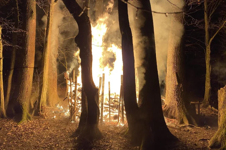 Feuerwehreinsatz in Sissach BL – Brand auf Waldspielplatz richtet hohen Schaden an