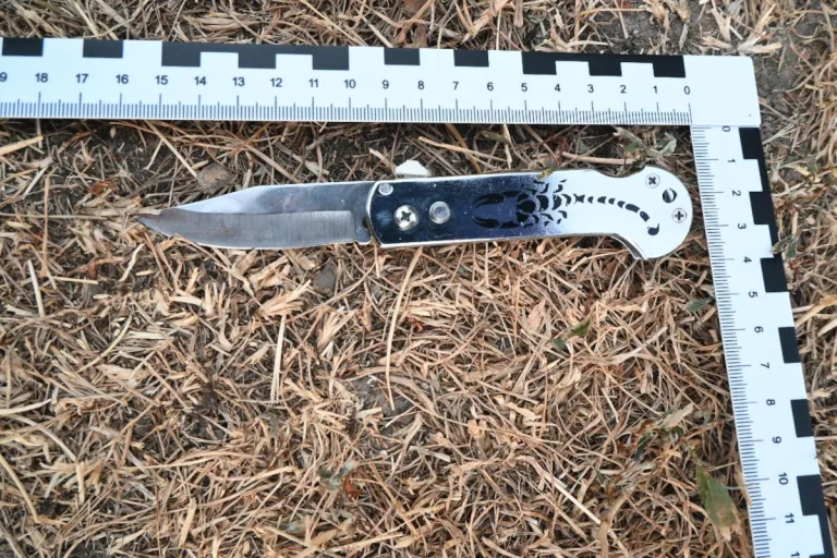 Wien – 12-Jähriger verletzt drei Jugendliche mit Messer