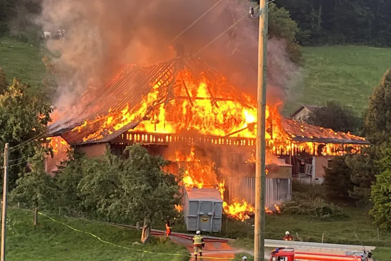 Oberbalm BE - Mehrere Tiere sterben bei Brand