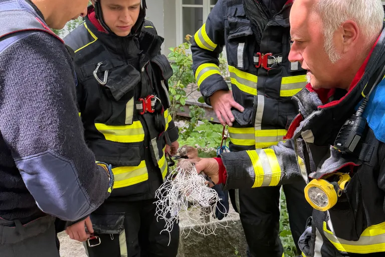 München – Feuerwehr rettet Eichelhäher aus Taubennetz