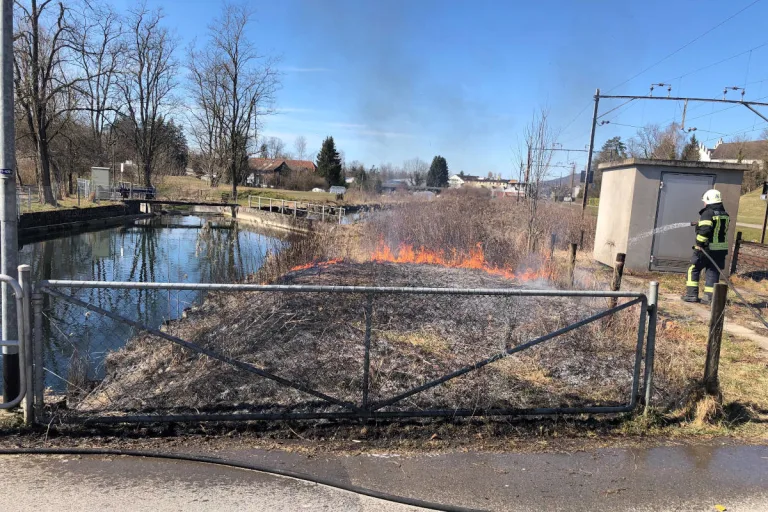 Bürglen TG – Brand von Schilf