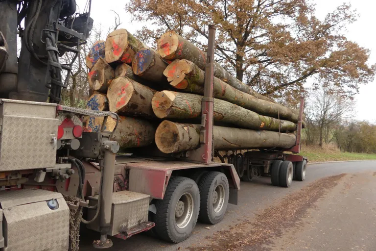 Kirchheim HE – Überladener Holztransport auf A4 gestoppt