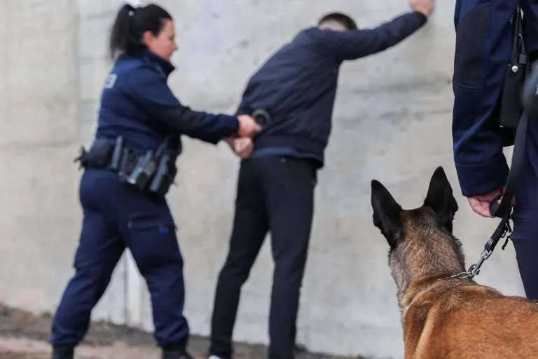 Widnau SG - Polizei nimmt dank Diensthund "Rio" 30-Jährigen fest