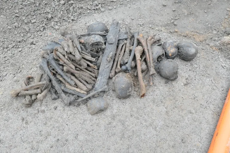 Lippetal-Herzfeld NW - 15 Schädel und eine Vielzahl an Knochen gefunden