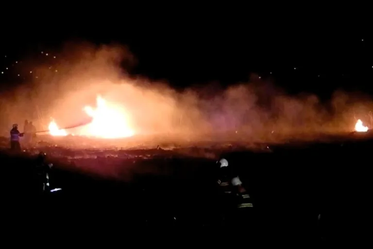 Willerzell SZ - Flächenbrand in Schilfgürtel