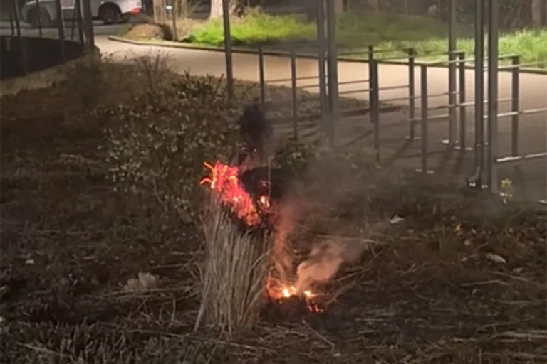 Allschwil BL – Grasstauden in Brand