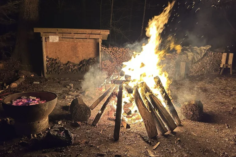 Goldau SZ – Drei Minderjährige verursachen Brand