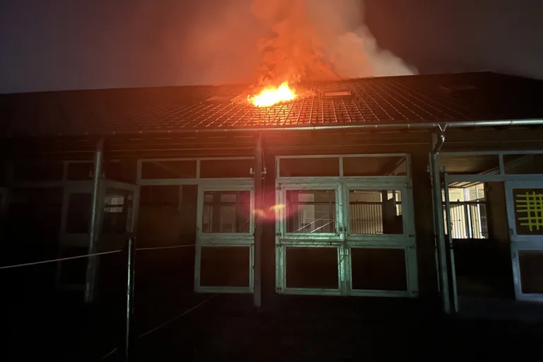 Niederuzwil SG - Brand eines Stalles