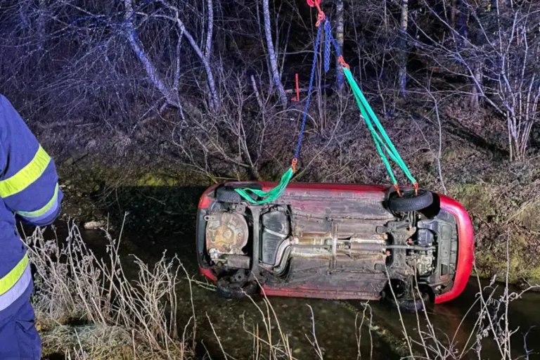 Fladnitz an der Teichalm – Lenkerin weicht Fuchs aus und verunfallt