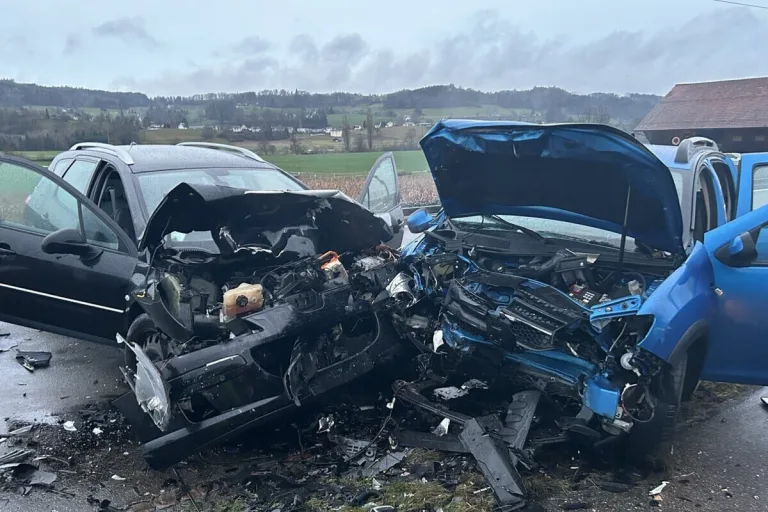 Leimbach AG - Unfall aufgrund von Sekundenschlaf am Steuer