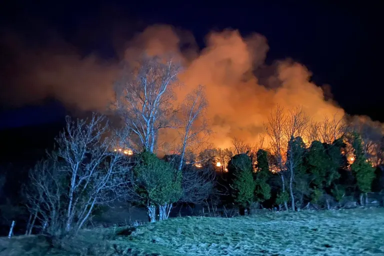 Hohtenn VS - Waldbrand ausgebrochen
