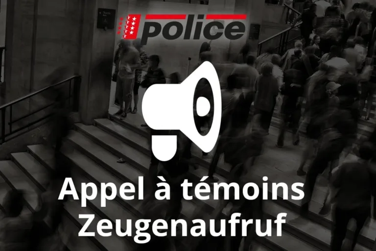 Zinal VS – Unbekannte stehlen Safe aus Hotel