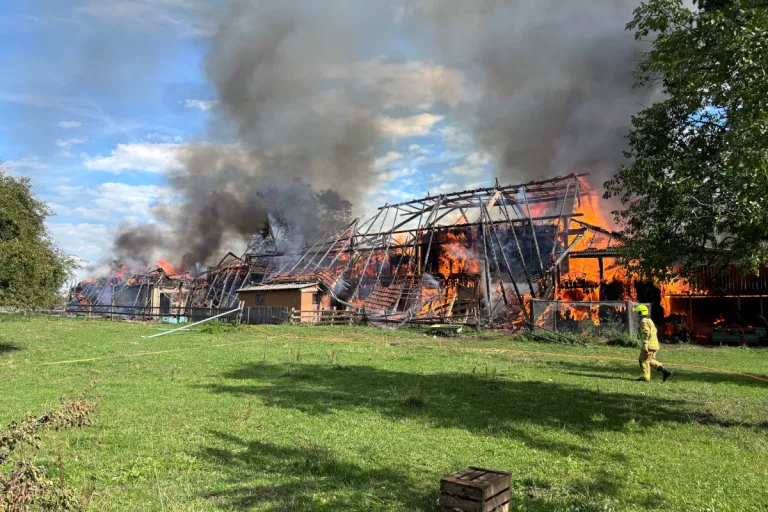 Hochdorf LU – Sägerei in Brand geraten