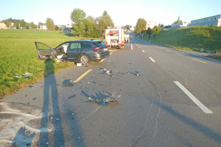 Sulgen TG - Frau nach Unfall zwischen Lastwagen und Auto verletzt