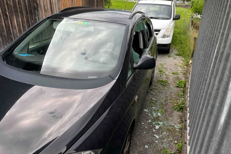 Sarnen OW - Vier Festnahmen nach mehreren Diebstählen 