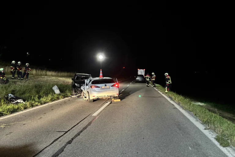 Moosleerau – Frontaler Unfall nach Überholmanöver