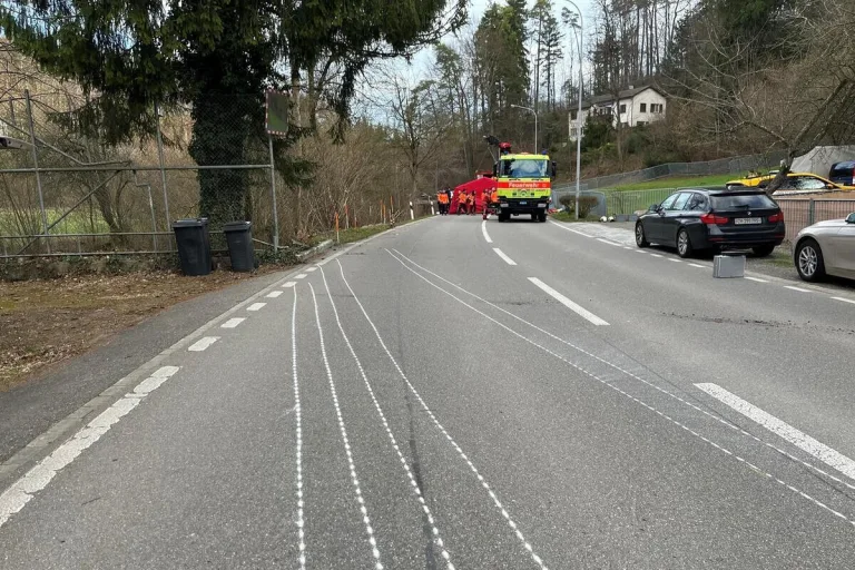 Effretikon ZH - Teslafahrer stirbt bei Unfall