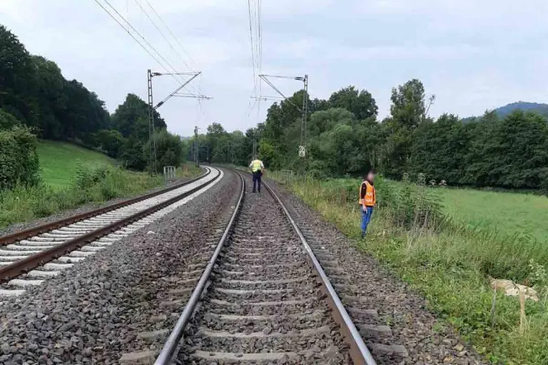 Emmerthal - S-Bahn fährt in Schafherde - 21 Tiere tot