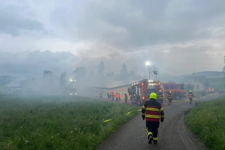 Gossau SG -  Schweinestall in Vollbrand – 90 Mutterschweine und 600 Ferkel gerettet