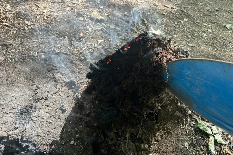 Aarau AG - Feuerstelle im Wald nicht gelöscht 