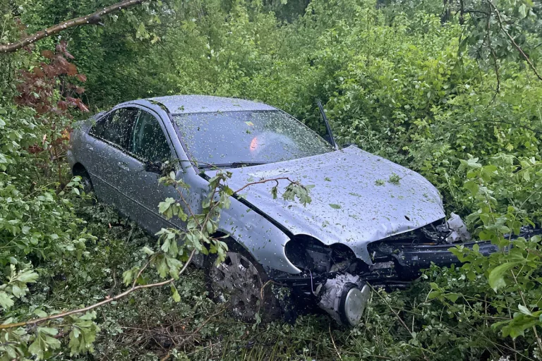 Dagmersellen LU - Auto landet nach Selbstunfall im Dickicht 