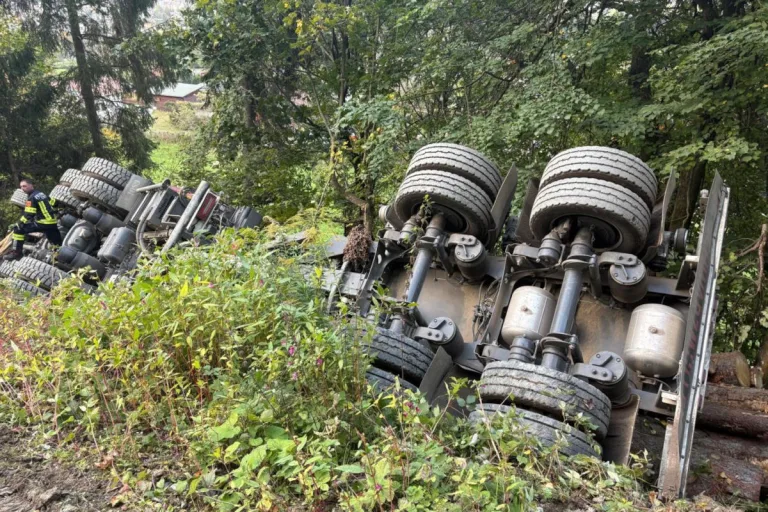 Unfall in Schüttbach – Holztransporter stürzt Hang hinab