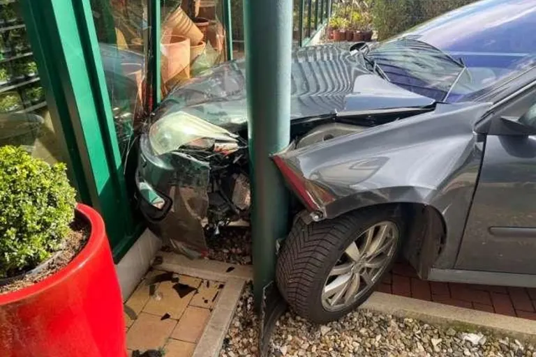 Helmstedt - Senior fährt mit Auto in Scheibe des Gartencenters