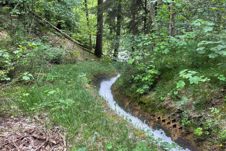 Saas im Prättigau GR - 3-jähriges Kind fällt in Bach und wird mitgerissen