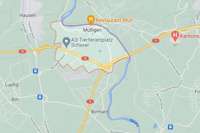 Mülligen AG - 7-jähriges  Kind nach Bootsunfall verschwunden