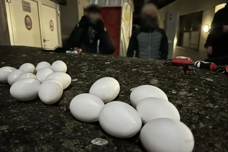 Halloween im Kanton Schwyz - Rund 70 Eier und über 40 Böller bei Jugendlichen abgenommen